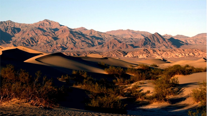 Sand dunes in the forground, rocky mountains in the background.