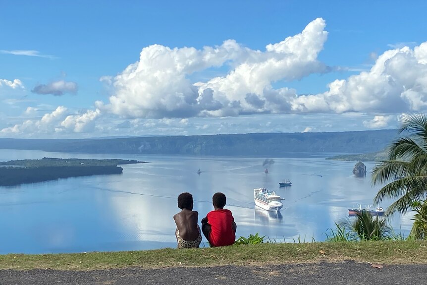 Two young boys sitting on the ground looking over a large vista of a harbour with boats in the distance. 