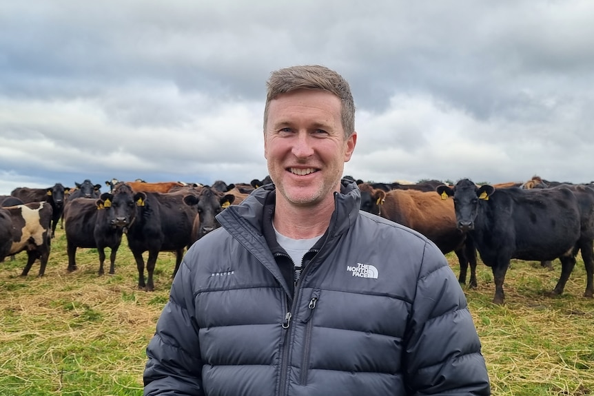 A man in a puffer jacket stands in front of cows