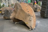 A bit rock on platforms with wheels with metal knobs in the rock for climbing