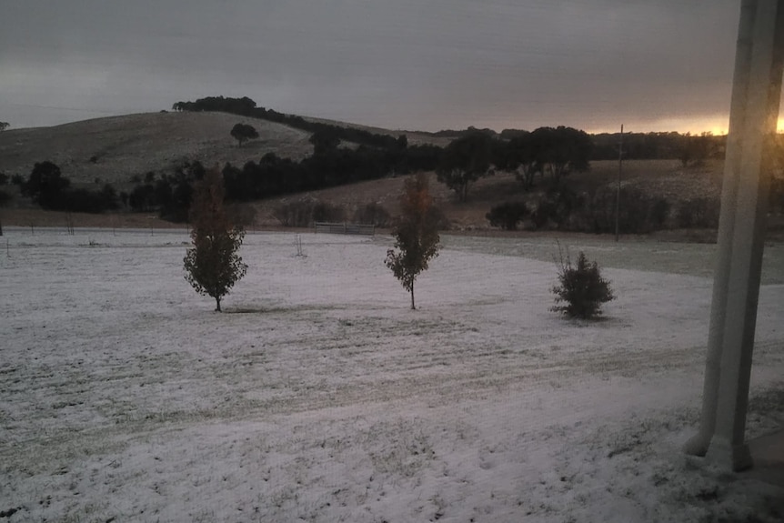 couche de neige sur les champs 