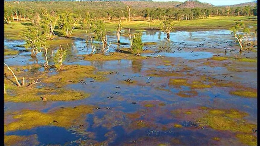 The Kakadu National Park has been given a $2m funding boost.