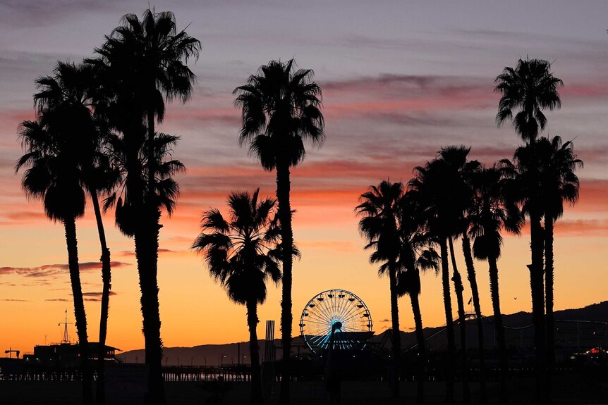 The ferris wheel on Santa Monica pier in Los Angeles is lit up in blue in honour of medical workers.