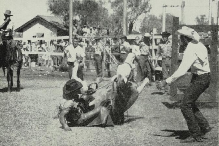 This photo from October 1960 shows a rodeo rider "copping a wild one that loses its feet and earns him a re-ride".