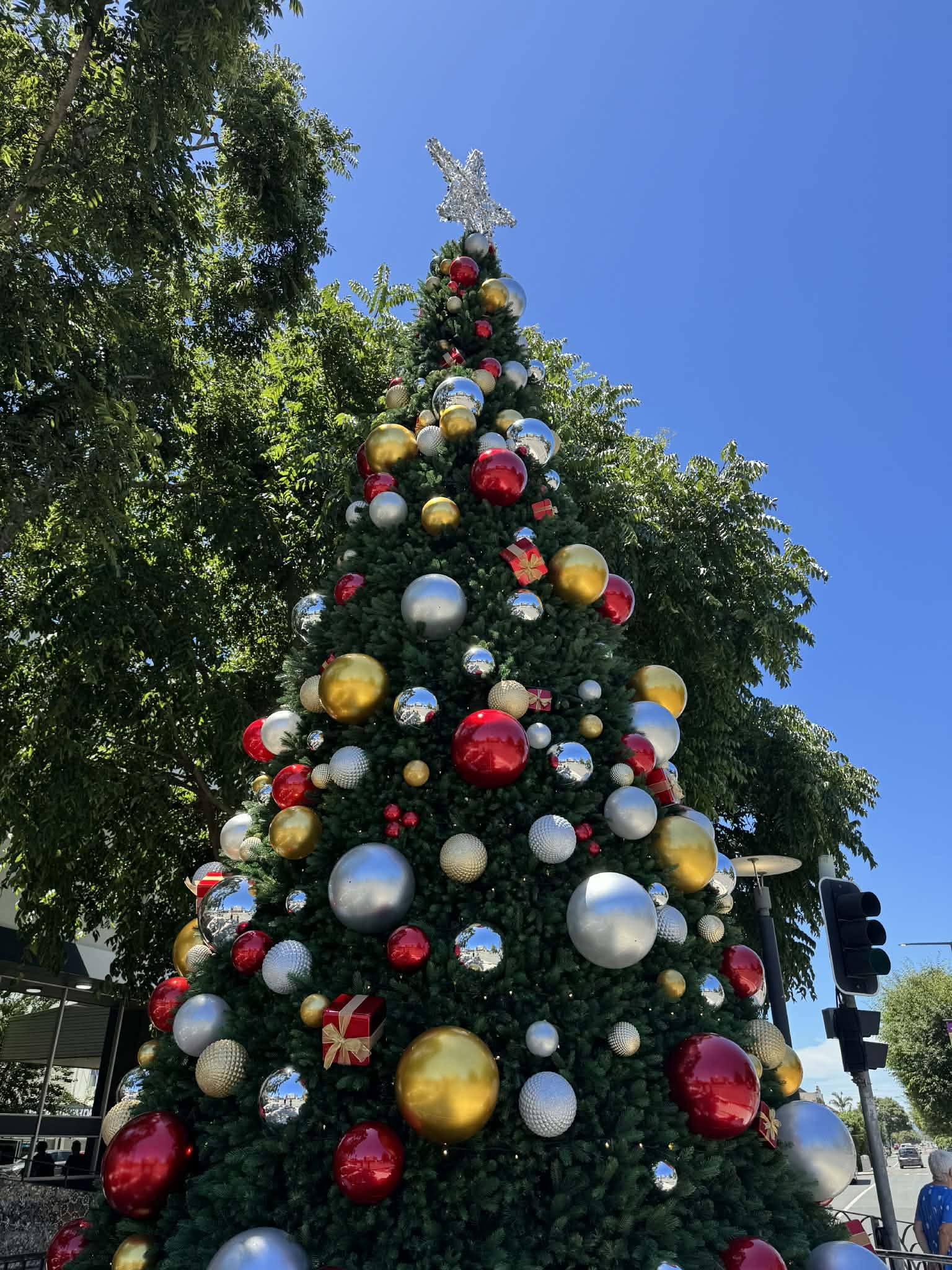 A large Christmas tree.