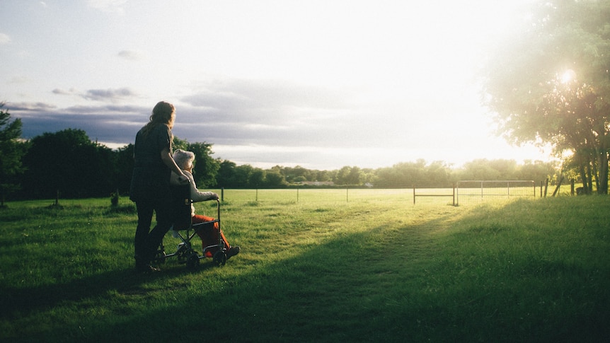 Woman pushing an old lady in a wheel chair into a paddock, nice scene.