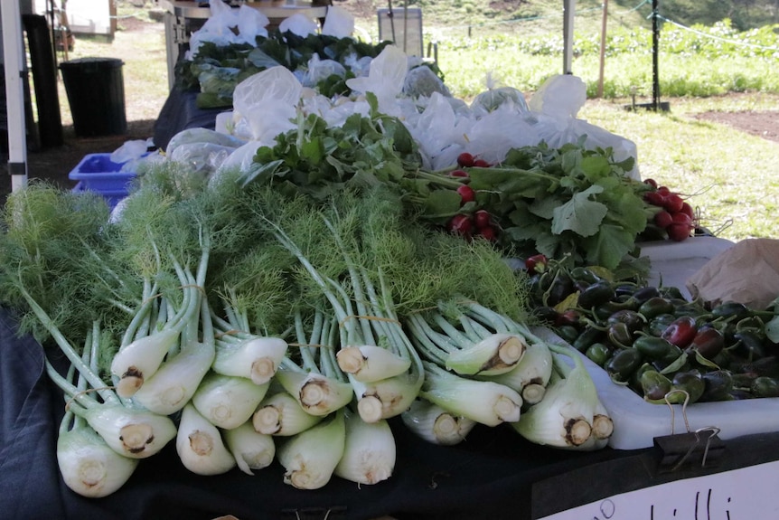 Leeks on a table at a market.