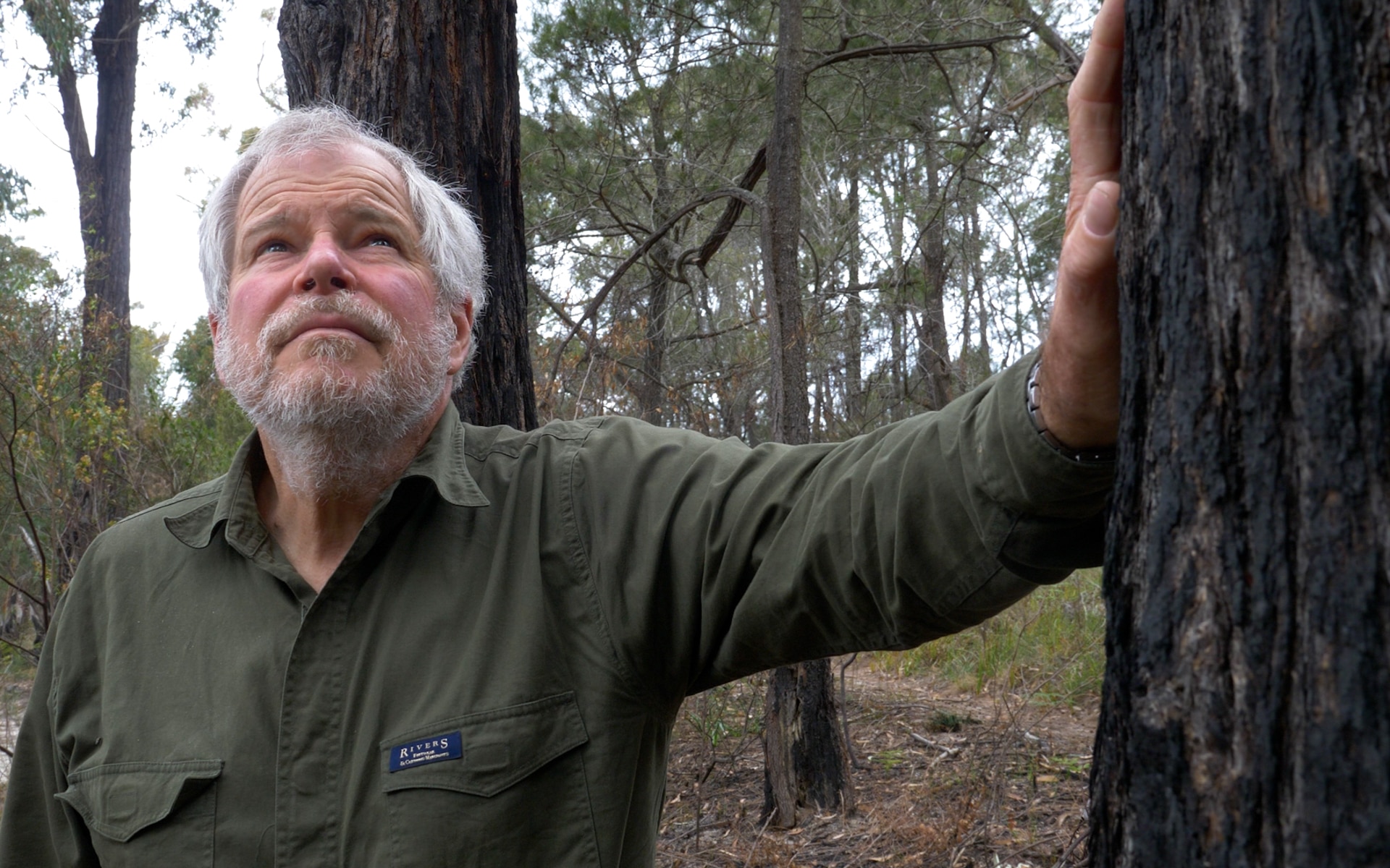 El hombre con camisa de trabajo verde se apoya con la mano en el tronco del árbol y mira el dosel