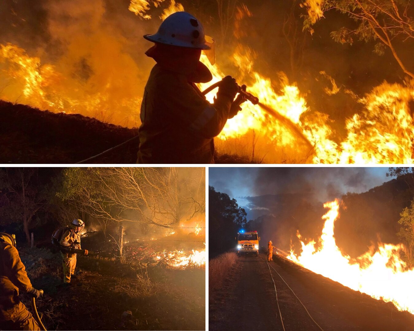 A collage of fire fighters battling blazes.