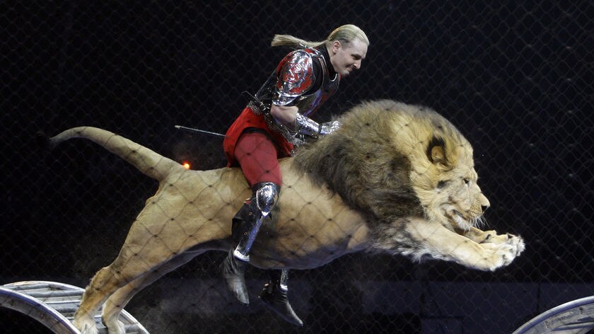 Animal tamer Askold Zapashny of the Brothers Zapashny circus rides a jumping lion