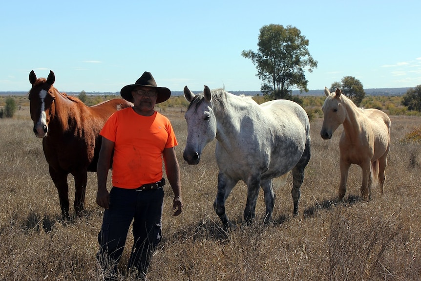 Love for horses