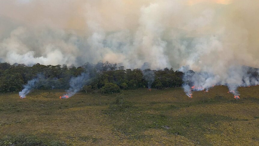 Spot fires near a line of trees, seen from a helicopter.