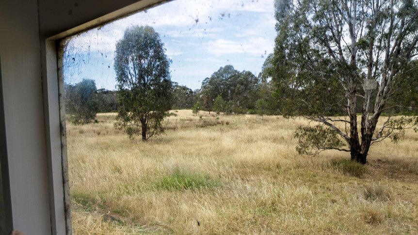 A field of dry grass and trees seen through a dirty window.