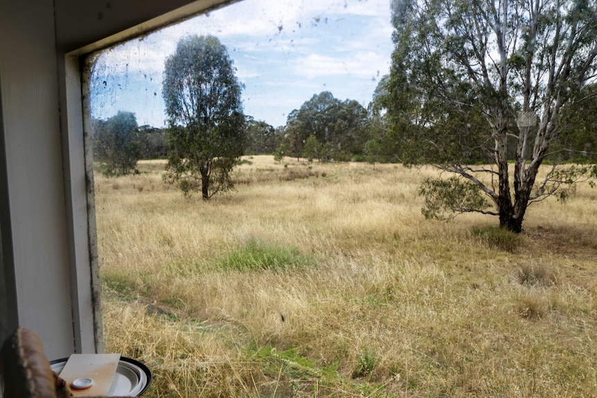 A field of dry grass and trees seen through a dirty window.