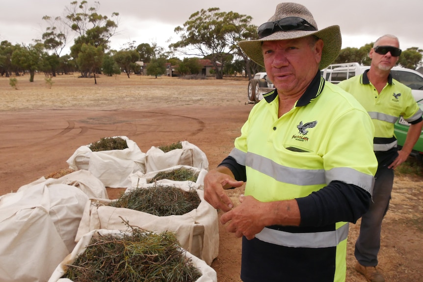 a man in high vis stands next to a bale of native seeds