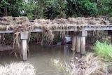 Debris left behind from the floodwaters caused by Cyclone Ellie hangs from a cane rail bridge