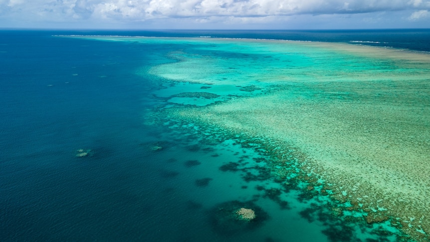 A photo from above of the Great Barrier Reef shades of blue ocean
