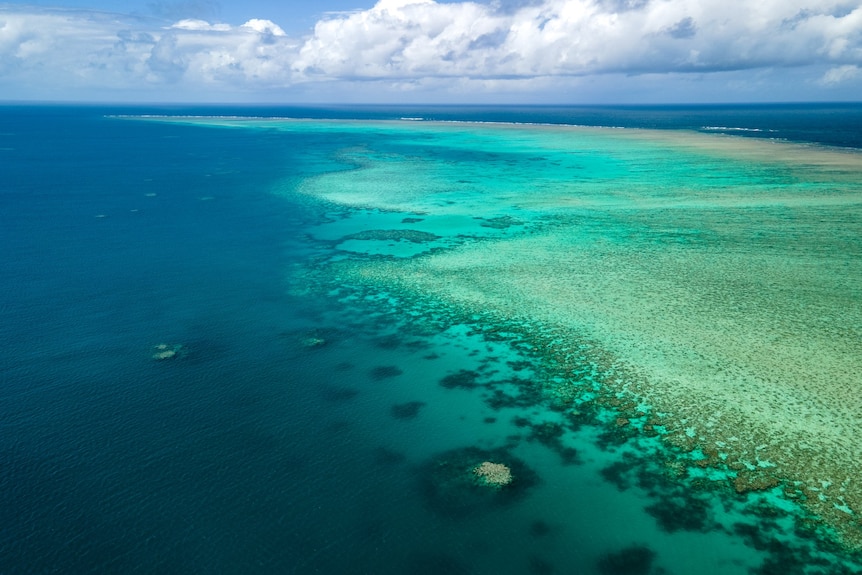 A photo from above the Great Barrier Reef shades of blue ocean