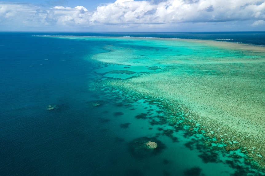 A photo from above of the Great Barrier Reef shades of blue ocean