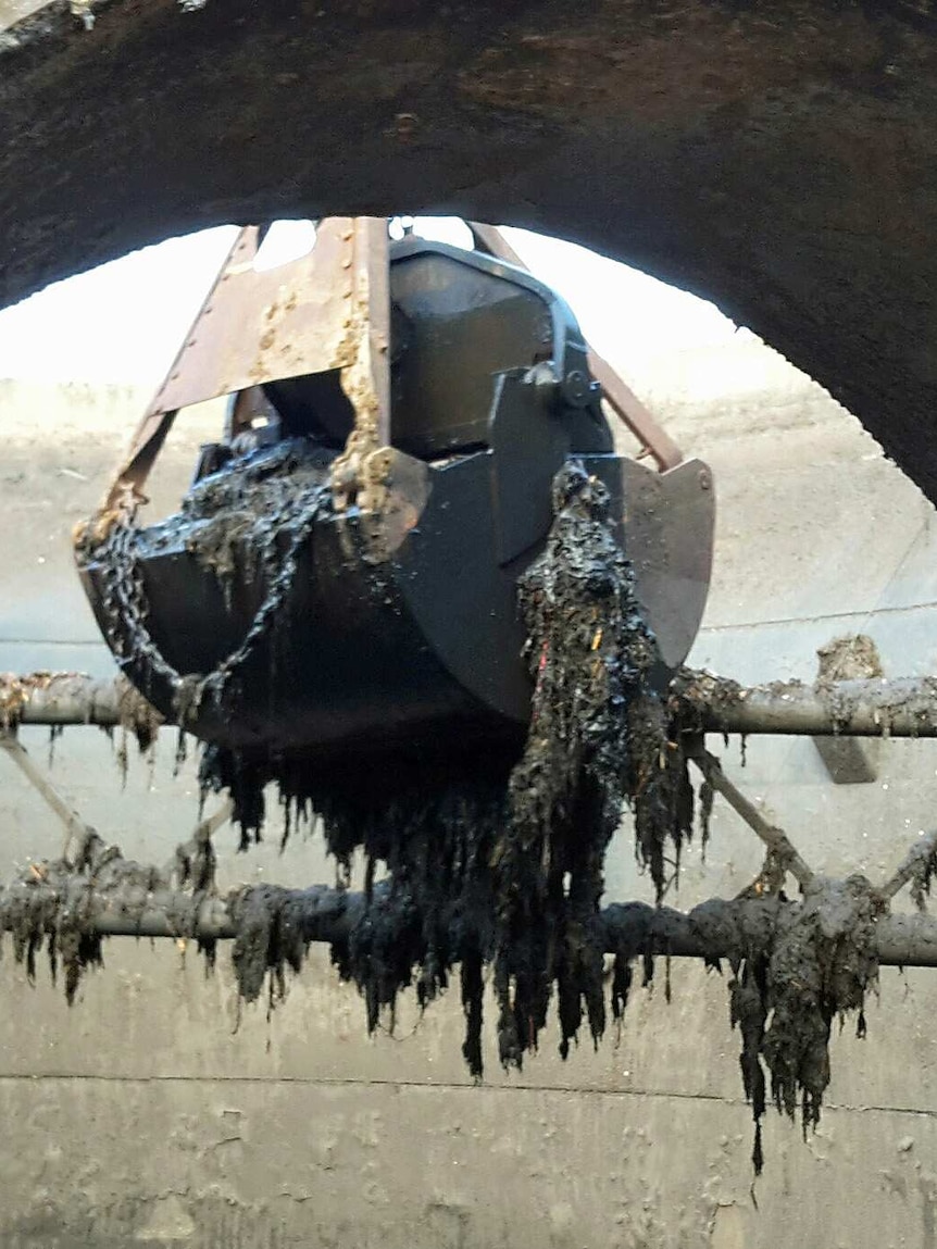 A digger pulls clumps of sewerage-soaked wipes out of a drain.