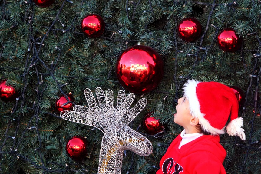 A boy looks at a Christmas tree during Christmas Eve celebrations at the Church of the Nativity in Bethlehem.