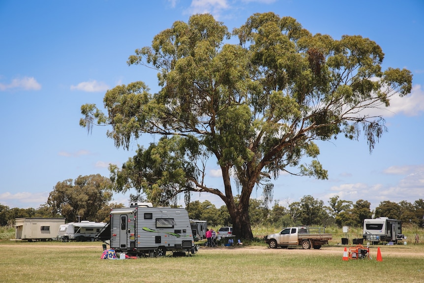 caravans set up around tree at Eugowra showground