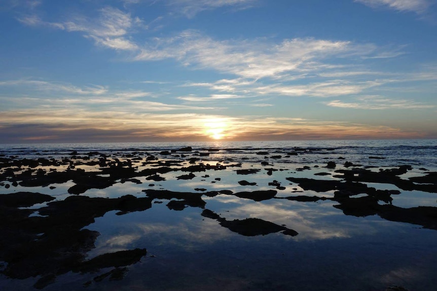 A beach covered with light seaweed reflects the late afternoon sky on the water which sits behind light clouds