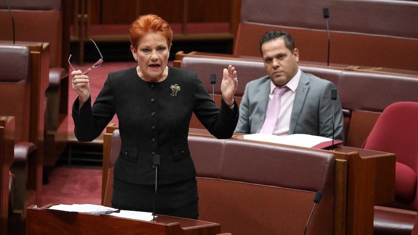 Senator Hanson's arms are out stretched, holding her glasses in one hand. Peter Georgiou is sitting behind her.