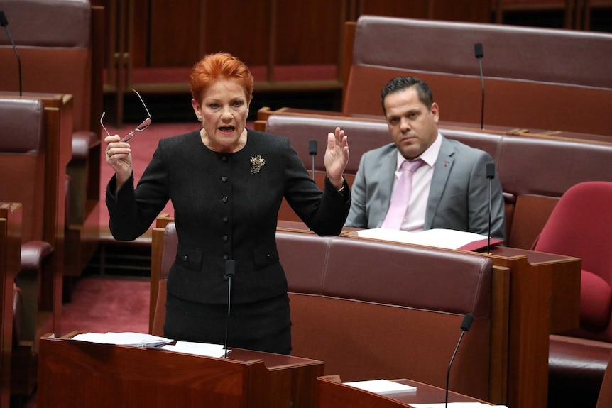 Senator Hanson's arms are out stretched, holding her glasses in one hand. Peter Georgiou is sitting behind her.