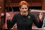 Senator Hanson's arms are out stretched, holding her glasses in one hand. Peter Georgiou is sitting behind her.