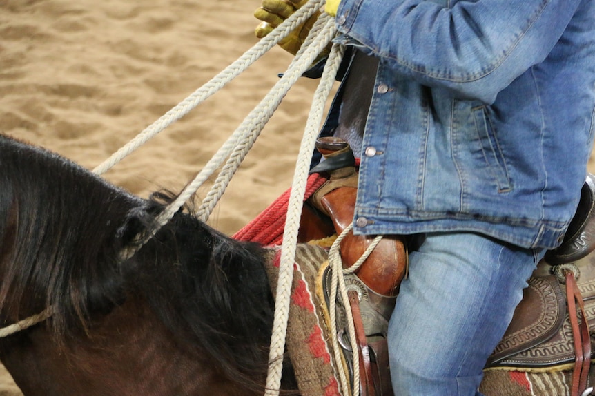 A close up of a saddle on a horse.