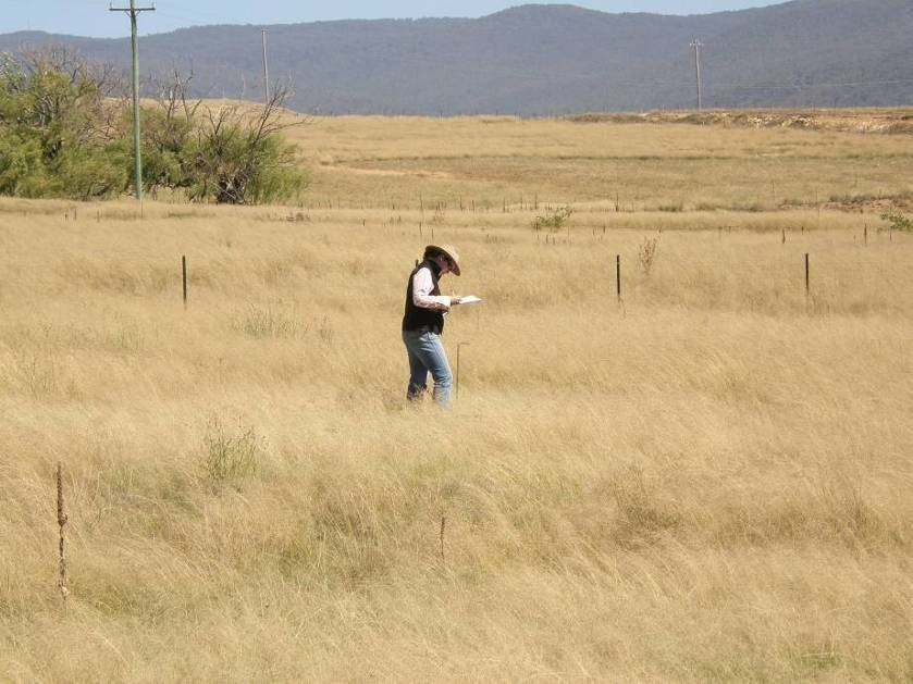 A woman stands in a field of brown weeds.