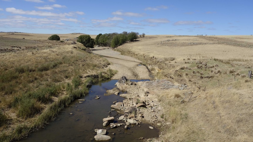 The Lachlan River on the outskirts of Gunning New South Wales drying up after continuous heatwaves. Taken February 06, 2014.