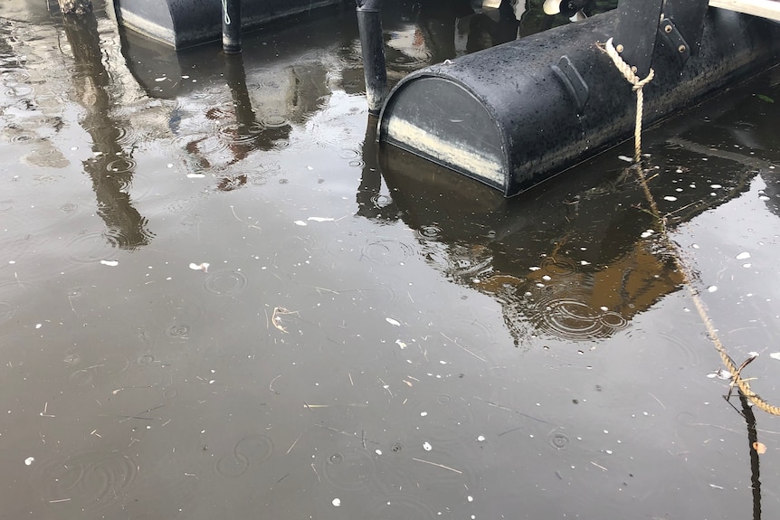 Brown murky water with wooden pylons sticking from the ground