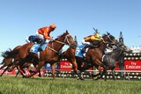 Delectation wins Darley Classic