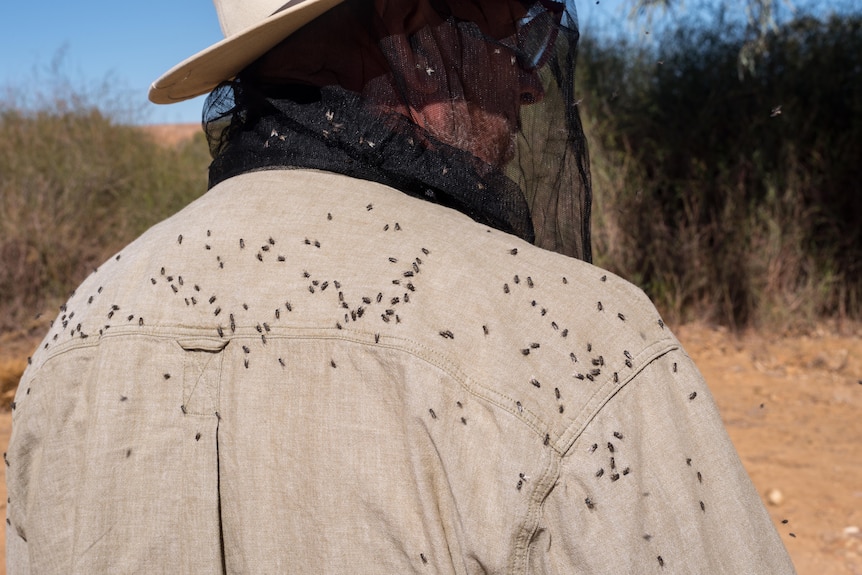 Man whose shirt is covered with flies.
