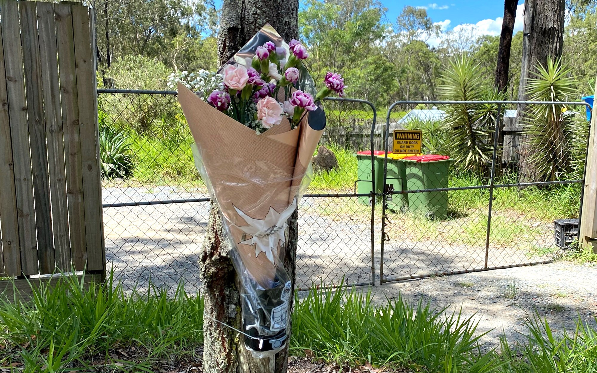 Authorities yet to decide fate of dogs that killed meter reader Kane