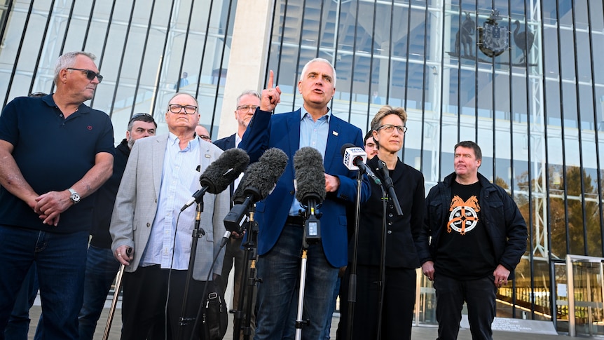 A group of people, fronted by a man talking and pointing upwards, outside the High Court.