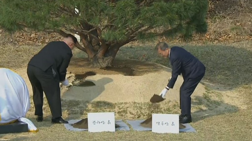 South and North Korean leaders plant tree in symbolic act