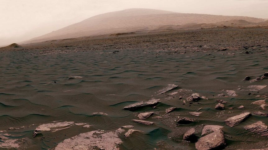 Blackish dunes in the foreground lead to a wide mountain in the distance, Mount Sharp, on Mars.