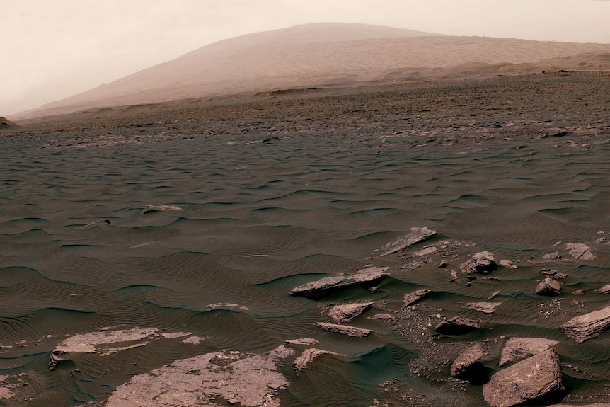 Blackish dunes in the foreground lead to a wide mountain in the distance, Mount Sharp, on Mars.
