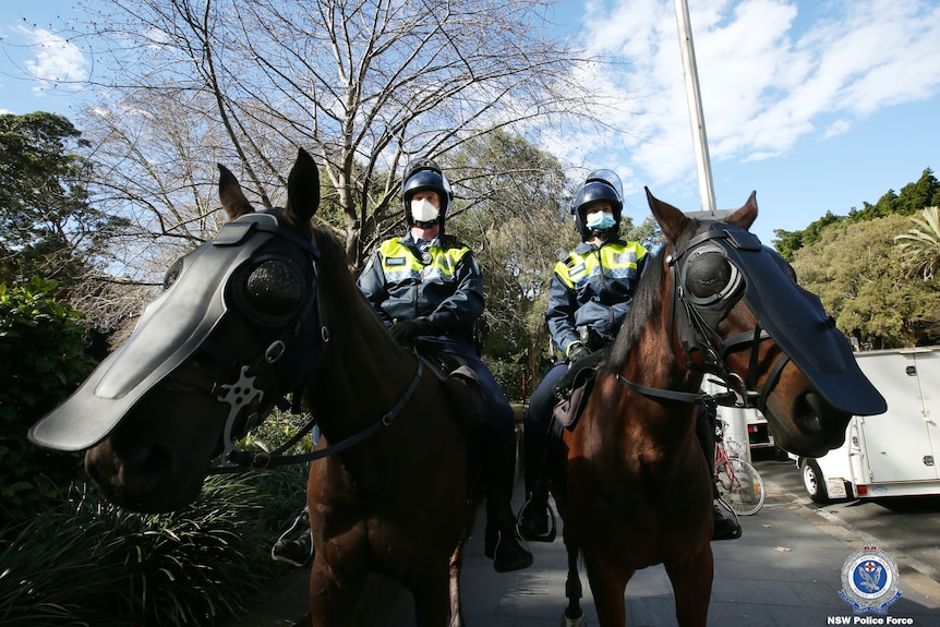 police on horses