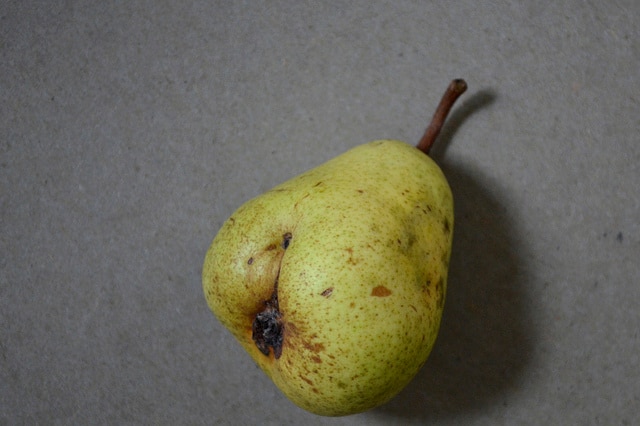 An unusual looking pear.