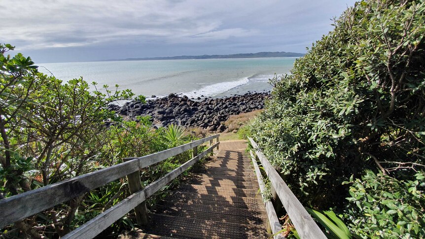 A path leads down to one of Raglan's beaches.
