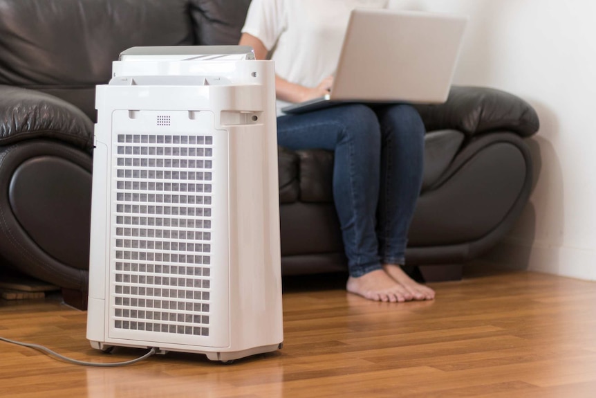 Air purifier in foreground, woman sitting on black leather couch using laptop behind.