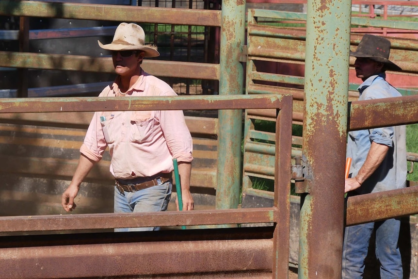 two men in fenced cattle yards wearing broad-brimmed hats