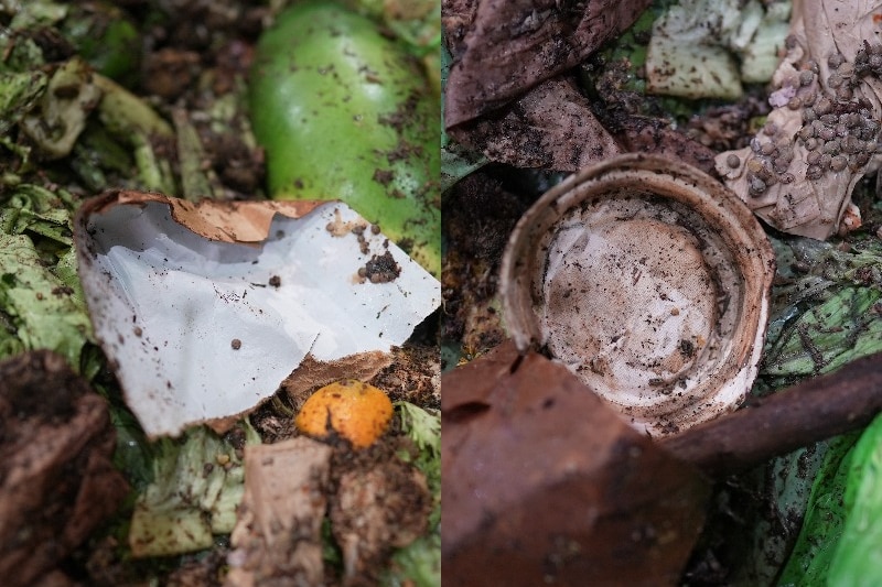Close ups of a coffee cup and lid, both intact, among piles of compost and other biodegradable material