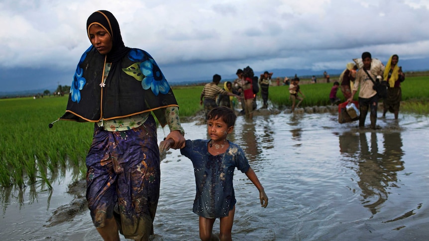 A Rohingya woman walks with a child through a mud puddle in a rice field in Bangladesh.