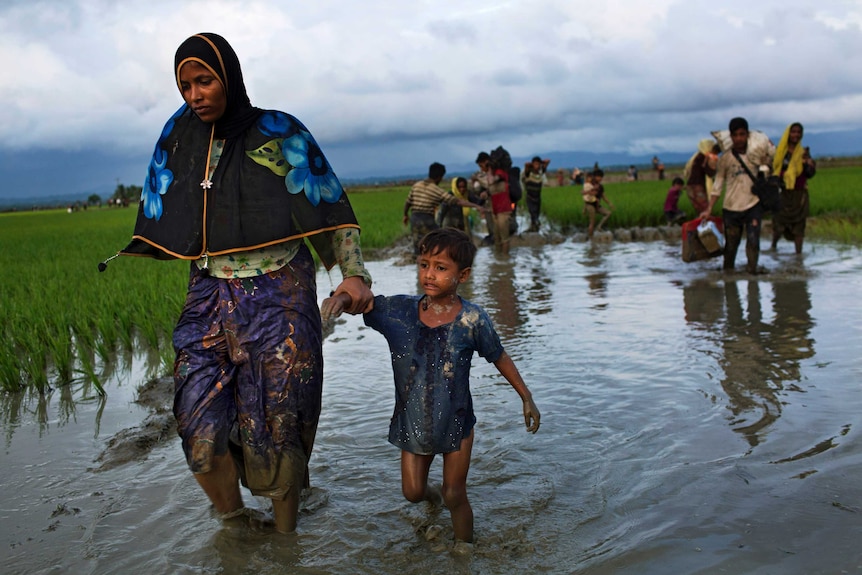 A Rohingya woman walks with a child through a mud puddle in a rice field in Bangladesh.