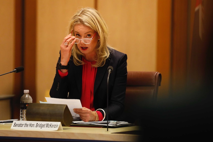 Bridget McKenzie est assise à une table pour répondre aux questions dans une pièce lambrissée